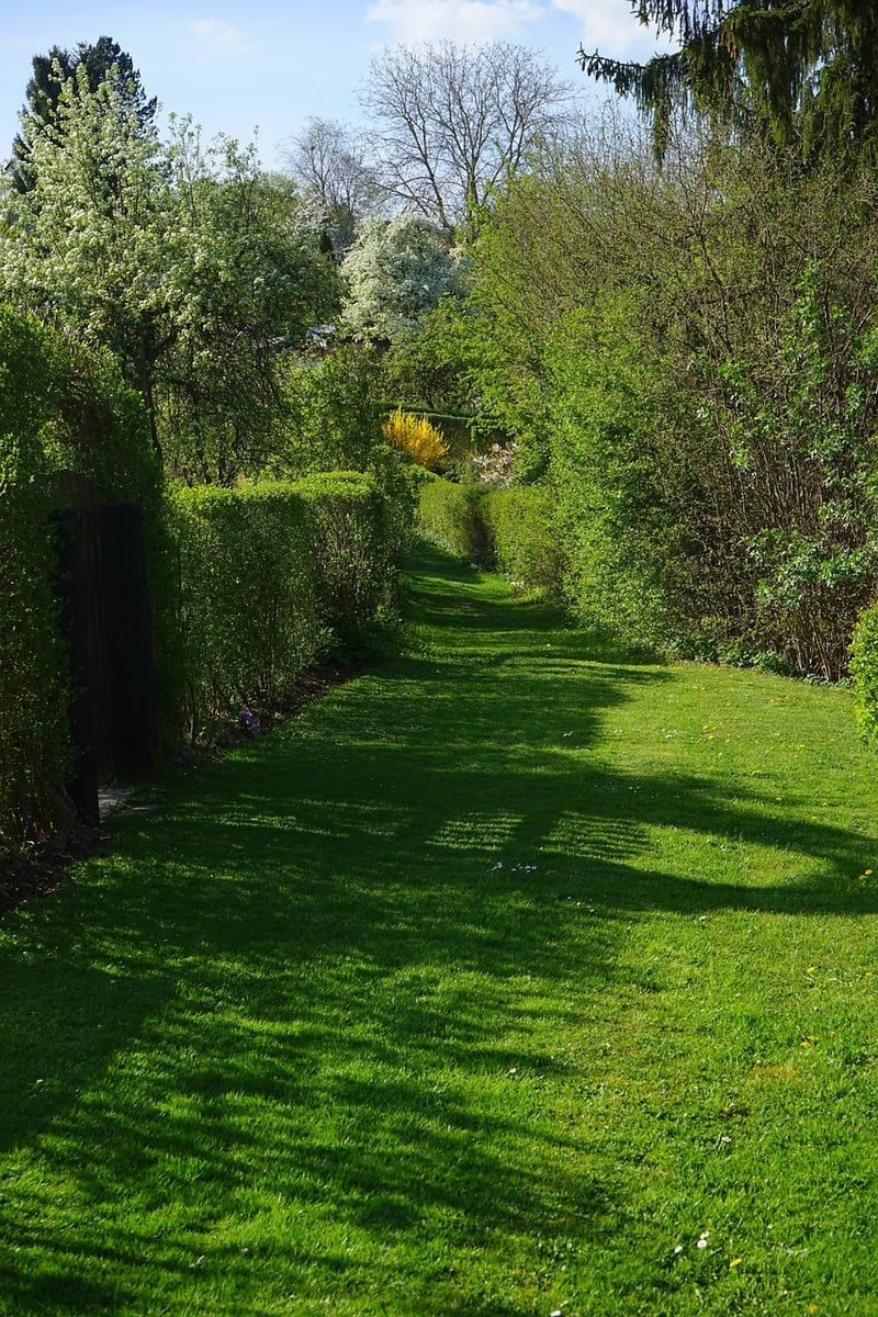 Garden Clubs